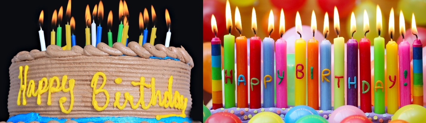 Kars Mois Transparan Şeffaf yaş pasta doğum günü pastası siparişi